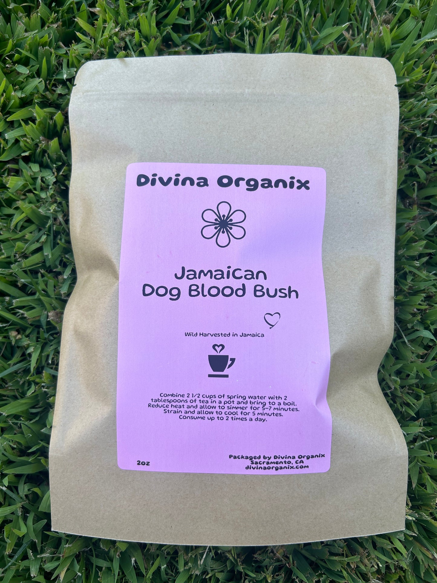 Jamaican Dog Blood Bush- 4oz